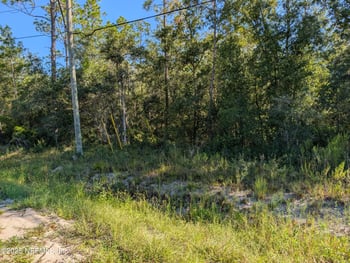 0010 Cordell & Boundary, Interlachen, FL 32148