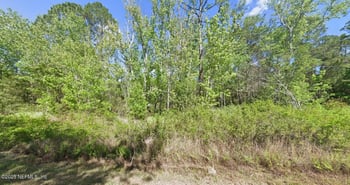 210 Redwood Blvd, Georgetown, FL 32139