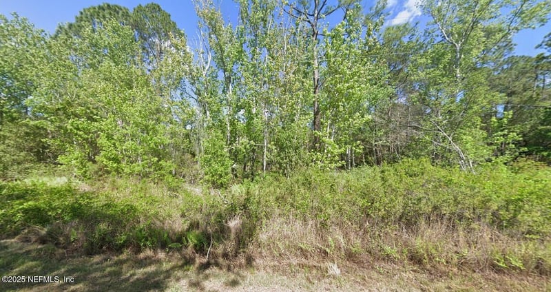 210 Redwood Blvd, Georgetown, FL 32139