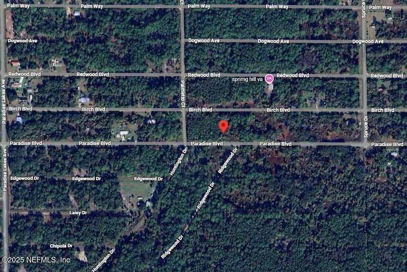 806 Paradise Blvd, Georgetown, FL 32139
