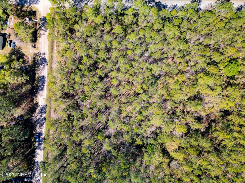 4260 Calvin St, Hastings, FL 32145