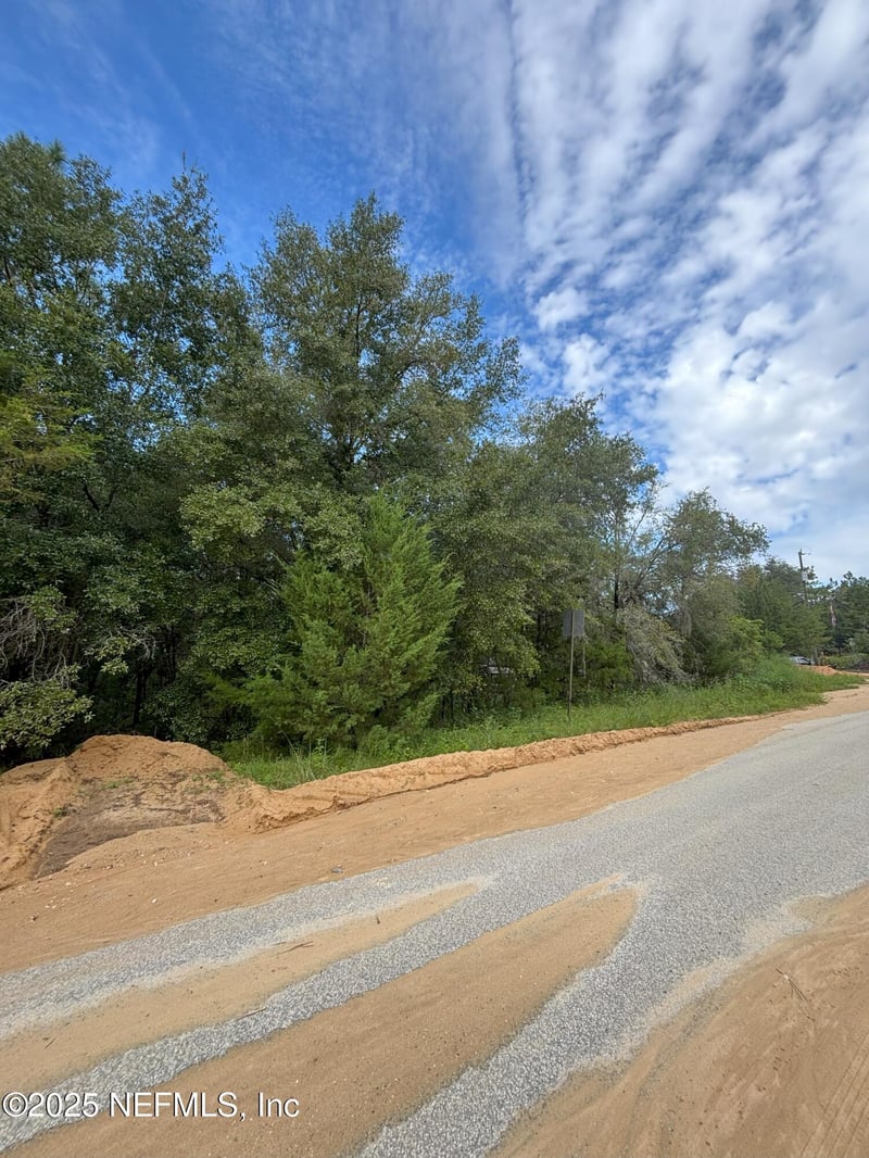 201 Dickens St, Interlachen, FL 32148