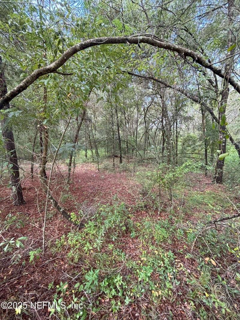 201 Dickens St, Interlachen, FL 32148