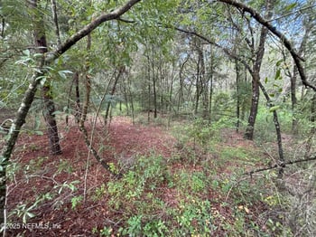 201 Dickens St, Interlachen, FL 32148