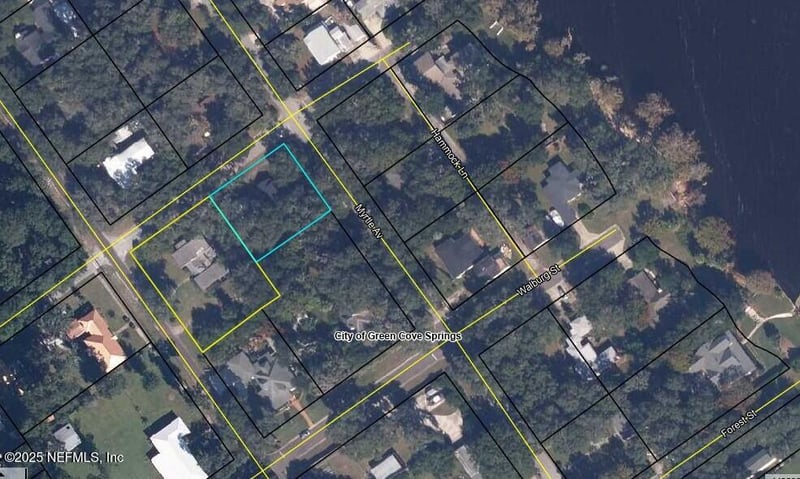 726 St Johns Ave, Green Cove Springs, FL 32043