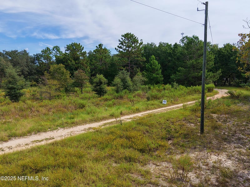 347 Chesser Monroe Rd, Hawthorne, FL 32640