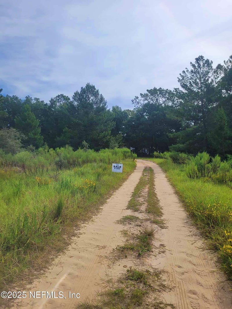 347 Chesser Monroe Rd, Hawthorne, FL 32640