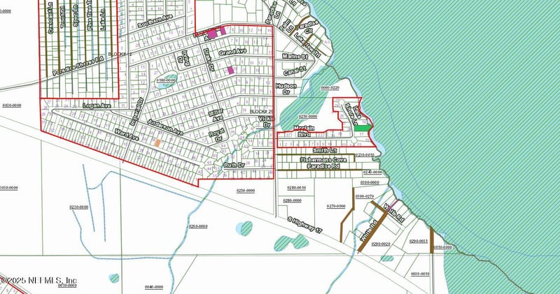 310 Ward Ave, Crescent, FL 32112