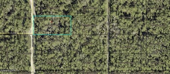 Kirchherr Ave, Hastings, FL 32145