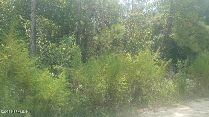 0 Kirchherr Ave, Hastings, FL 32145