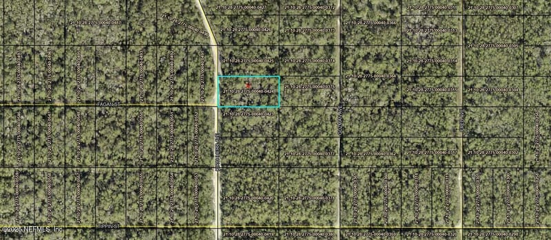 0 Kirchherr Ave, Hastings, FL 32145