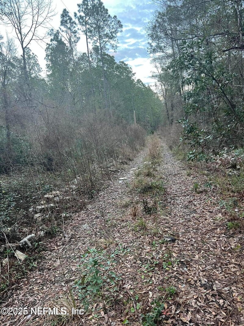 0 251st St, Lawtey, FL 32058