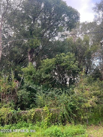 251st St, Lawtey, FL 32058