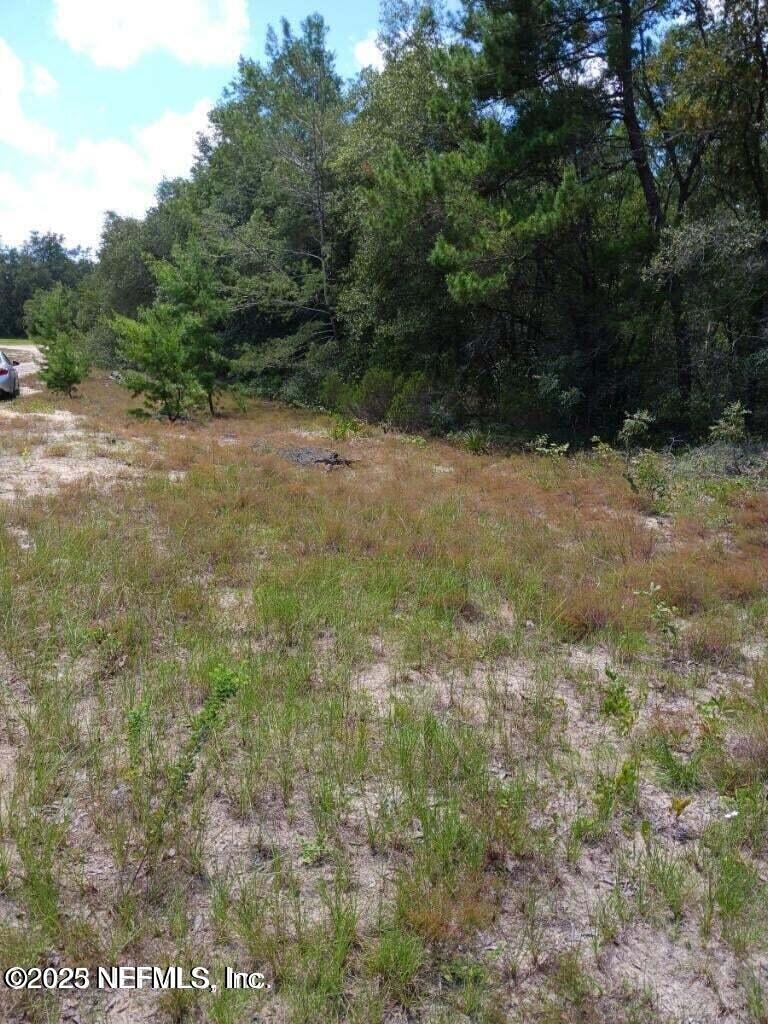 0 Valhalla St, Melrose, FL 32666