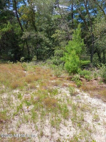 0 Valhalla St, Melrose, FL 32666