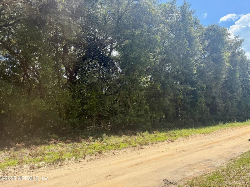 XXX Nettles Rd, Florahome, FL 32140
