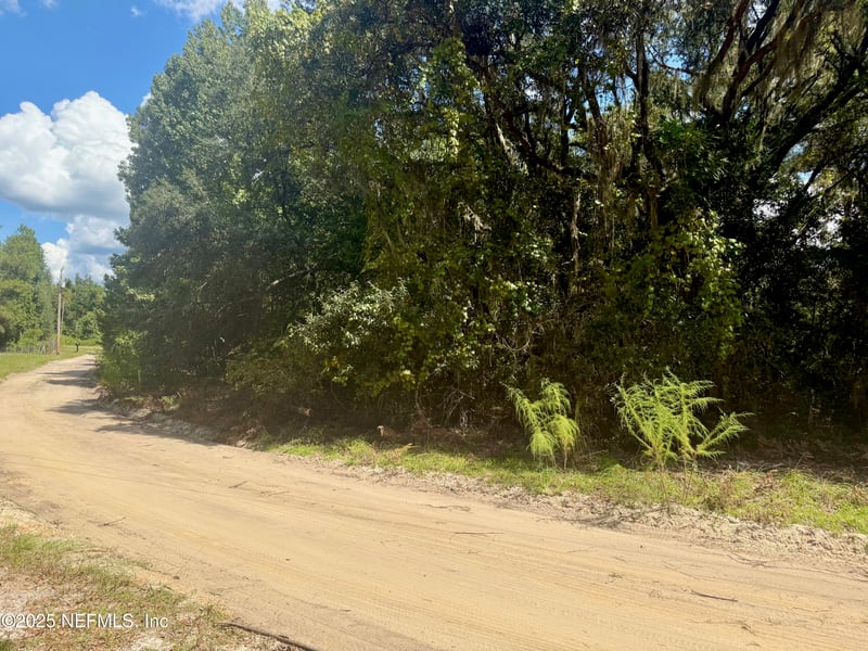 XXX Nettles Rd, Florahome, FL 32140