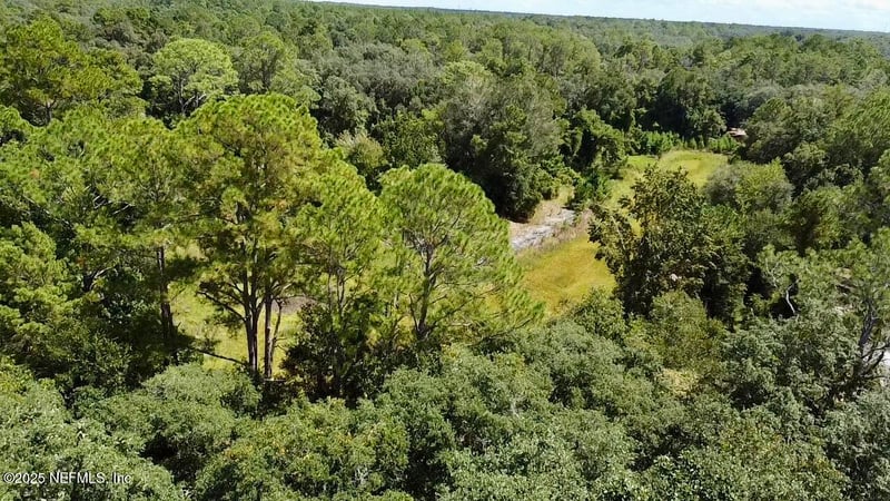 XXX Nettles Rd, Florahome, FL 32140