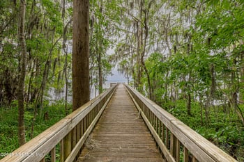 1665 Cinnamon Fern Ct, Fleming Island, FL 32003