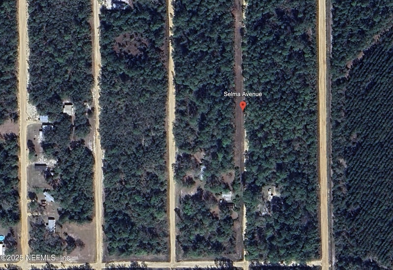 00 Selma Ave, Interlachen, FL 32148