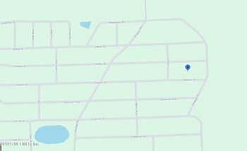 00 Glisson St, Interlachen, FL 32148