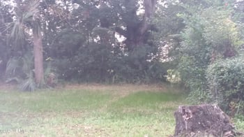 1708 Fairfax St, Jacksonville, FL 32209