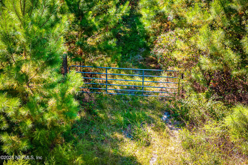 0 Leon Dopson Rd, Sanderson, FL 32087