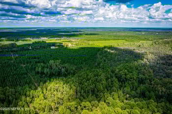 Leon Dopson Rd, Sanderson, FL 32087