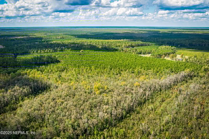 0 Leon Dopson Rd, Sanderson, FL 32087