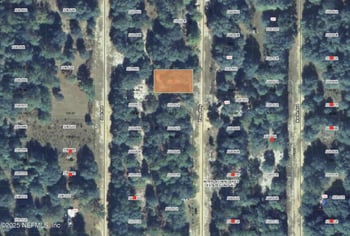 00 Ellen Way, Interlachen, FL 32148