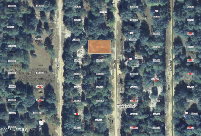 00 Ellen Way, Interlachen, FL 32148