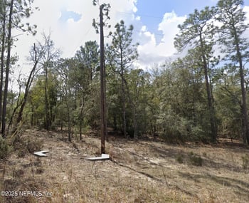 00 Fern Ave, Interlachen, FL 32148