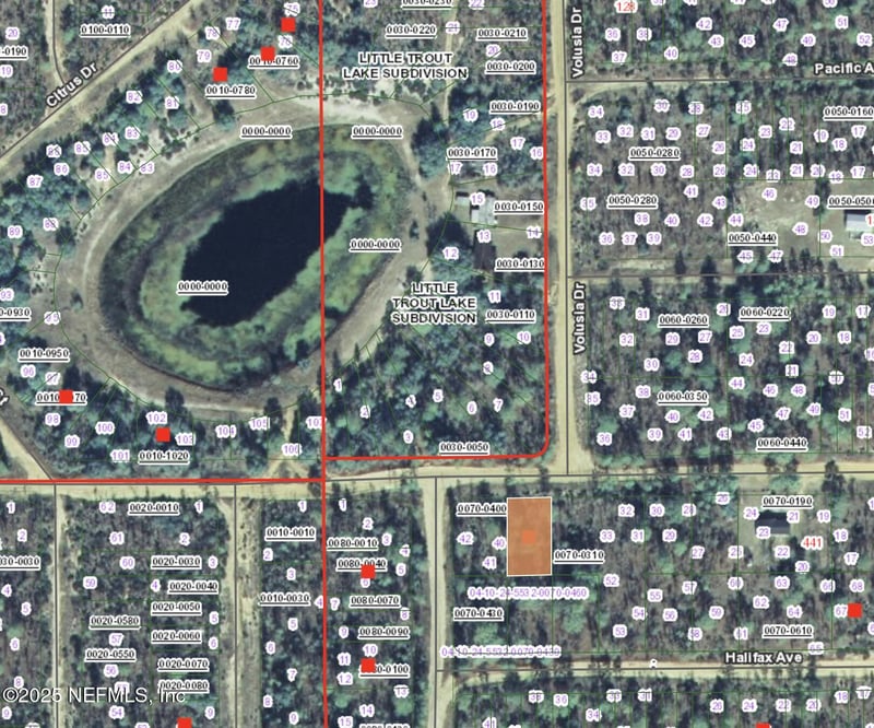 00 Fern Ave, Interlachen, FL 32148