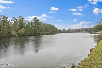 585 Running Woods St, Orange Park, FL 32065