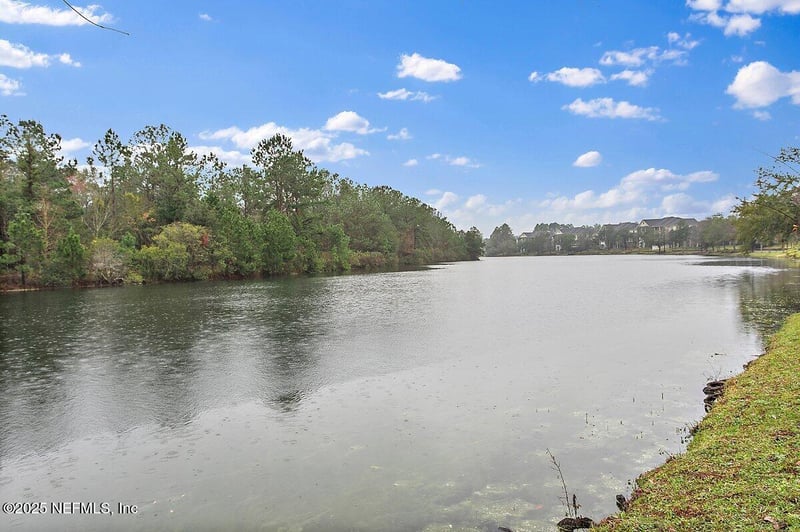 585 Running Woods St, Orange Park, FL 32065