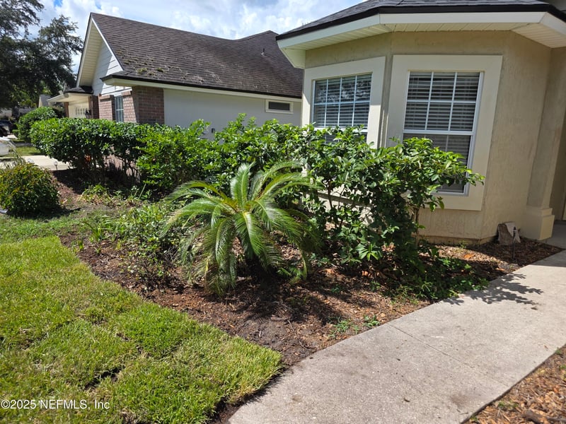 1522 Cotton Clover Dr, Orange Park, FL 32065