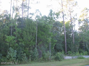 0 Owens Rd, Jacksonville, FL 32218