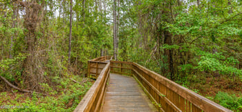 1880 Oakchime Dr, Orange Park, FL 32065