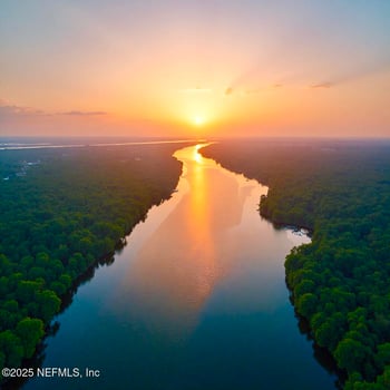 4441 Ortega Farms Cir, Jacksonville, FL 32210