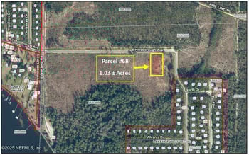 PARCEL 6B Hillsborough Ave, Florahome, FL 32140