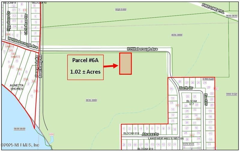 PARCEL 6A Hillsborough Ave, Florahome, FL 32140