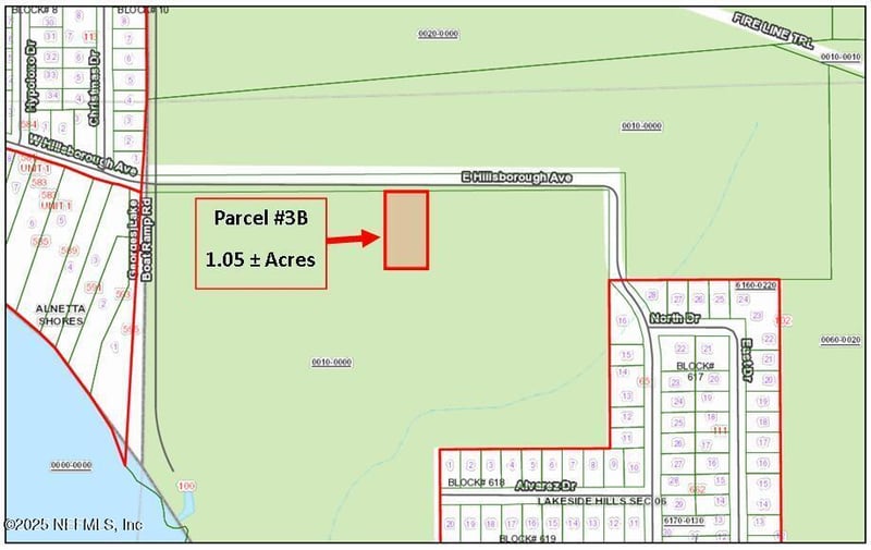 PARCEL 3B Hillsborough Ave, Florahome, FL 32140