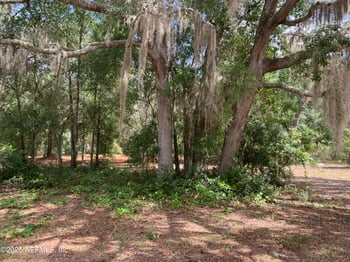 114 - 116 Willow St, Hawthorne, FL 32640