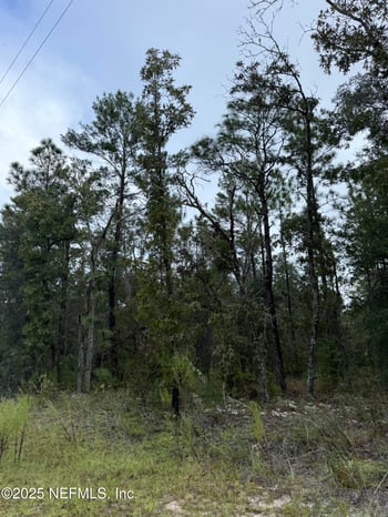 5830 Campo Dr, Keystone Heights, FL 32656