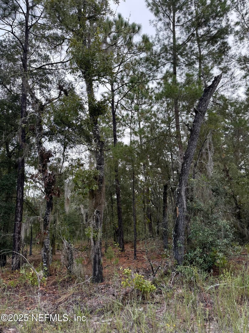 5830 Campo Dr, Keystone Heights, FL 32656