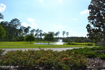 56 Bloom Ln, Ponte Vedra, FL 32081