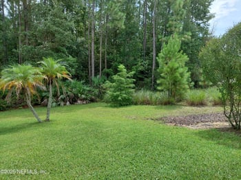 248 Brambly Vine Dr, St Johns, FL 32259
