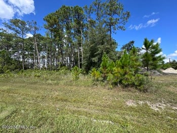 4376 County Road 218, Middleburg, FL 32068