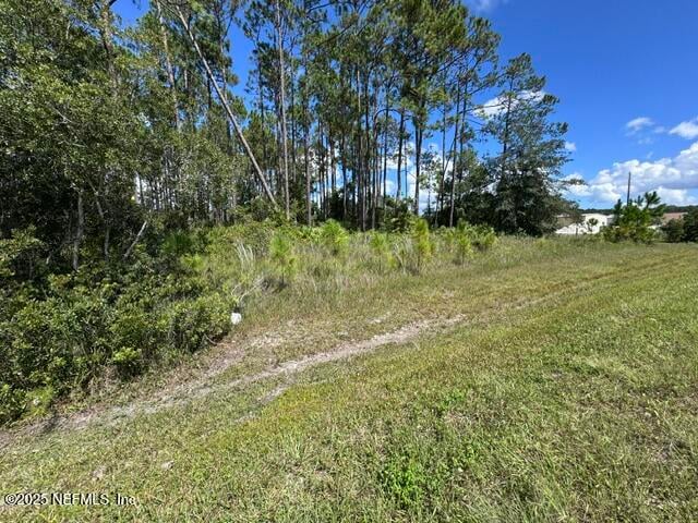 4376 County Road 218, Middleburg, FL 32068