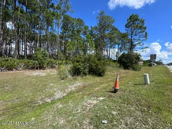 4376 County Road 218, Middleburg, FL 32068